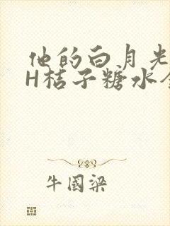 他的白月光HVH桔子糖水全文