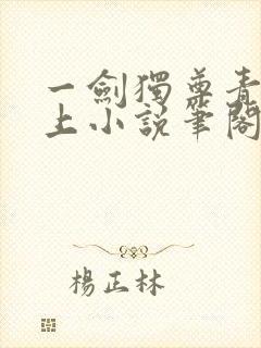 一剑独尊青鸾峰上小说笔阁趣