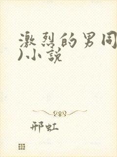 激烈的男同(h)小说