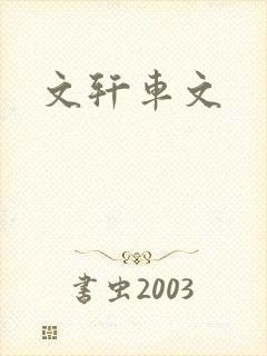 文轩车文