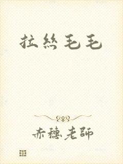 拉丝毛毛