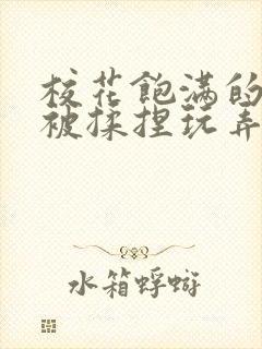 校花饱满的双乳被揉捏玩弄小说封面