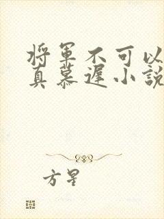 将军不可以魏云真慕迟小说笔趣阁
