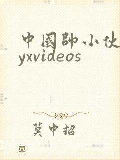 中国帅小伙gayxvideos封面