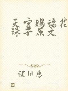 天官赐福花怜塞珠子原文