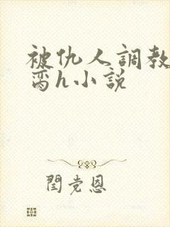 被仇人调教成禁脔h小说