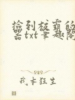 捡到校霸的遥控器txt笔趣阁