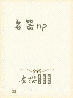 名器np
