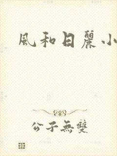 风和日丽小说