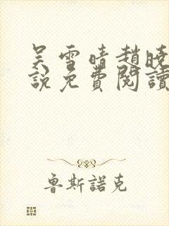 吴雪晴赵晓东小说免费阅读