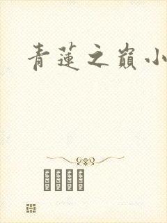 青莲之巅小说封面