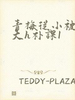 青梅从小被c到大h补课1