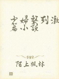 少妇系列激情短篇小说