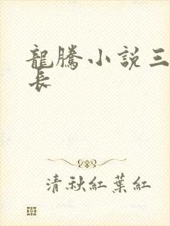 龙腾小说三宝局长
