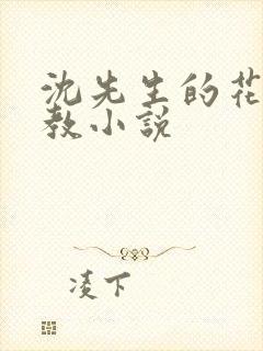 沈先生的花式调教小说