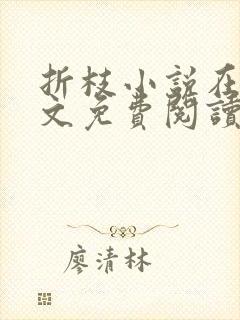 折枝小说在线全文免费阅读无弹窗封面