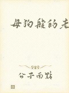 母狗般的老师封面