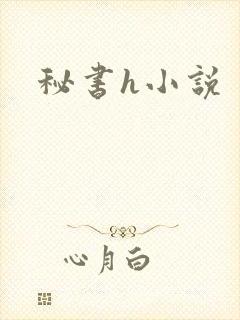 秘书h小说