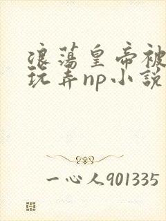 浪荡皇帝被多人玩弄np小说