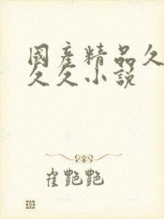 国产精品久久久久久小说