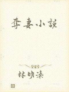 夺妻小说