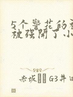 5个警花的初苞被强开了小说封面