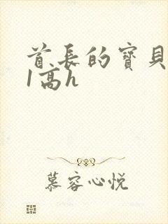 首长的宝贝1v1高h