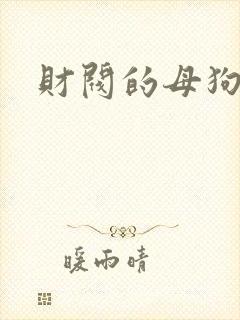 财阀的母狗们