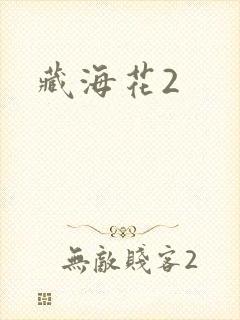 藏海花2