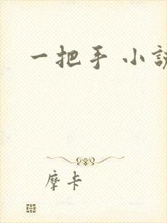 一把手 小说