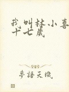 我叫林小喜今年十七岁