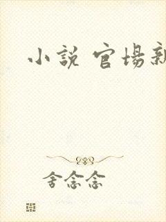 小说 官场新贵