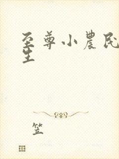 至尊小农民王木生