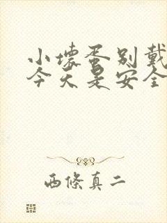 小坏蛋别戴套了今天是安全期封面