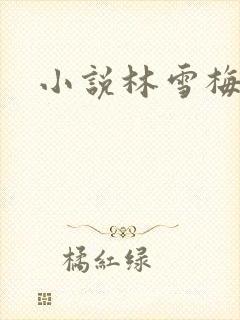 小说林雪梅