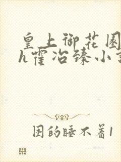 皇上御花园hlh霍冶臻小说