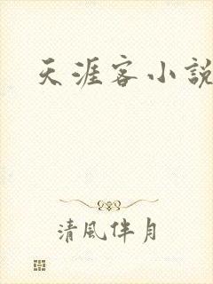 天涯客小说