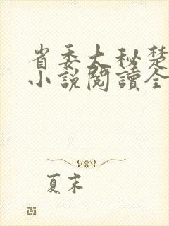 省委大秘楚东恒小说阅读全文