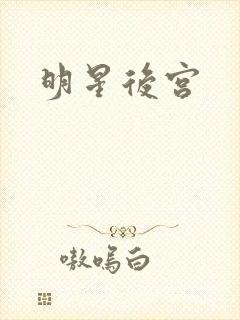 明星后宫