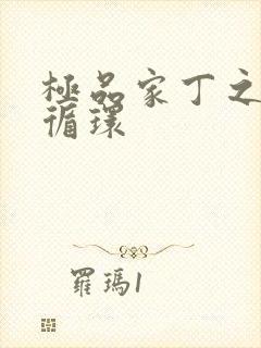 极品家丁之因果循环