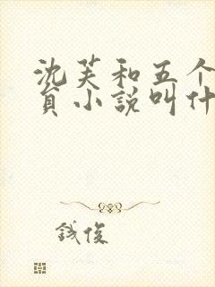 沈芙和五个消防员小说叫什么