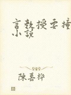 言教授要撞坏了小说封面