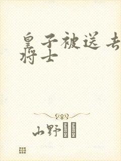 皇子被送去犒劳将士封面