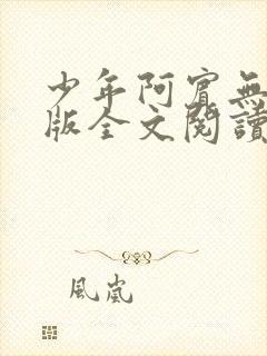 少年阿宾无删减版全文阅读