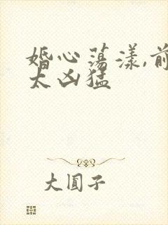 婚心荡漾,前夫太凶猛