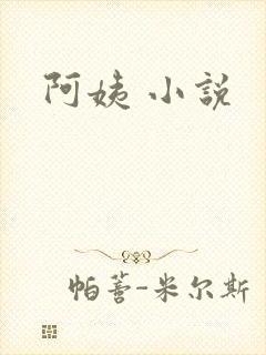 阿姨 小说
