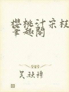 樱桃汁宋枝江野笔趣阁封面