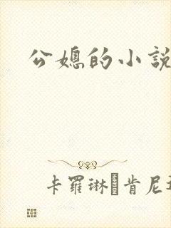公媳的小说封面