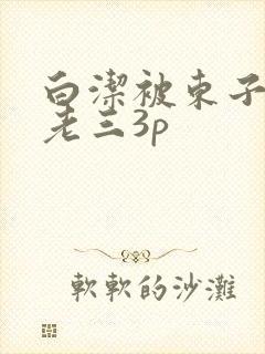 白洁被东子老二老三3p