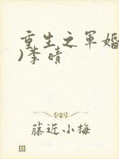重生之军婚(h)李晴封面